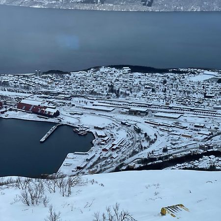 Narvik Sentrum Daire Dış mekan fotoğraf